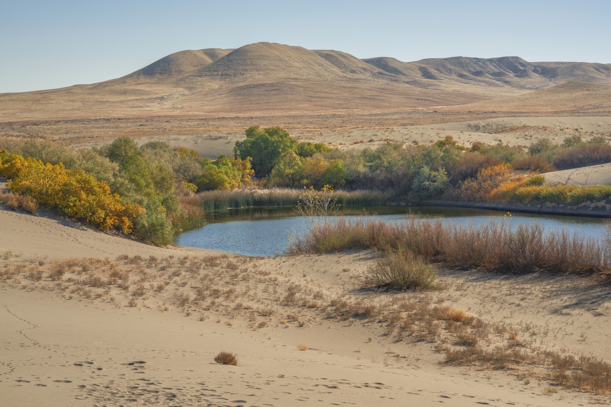 Paisaje árido verano